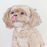 Pet Portrait [Custom Hand Painted]