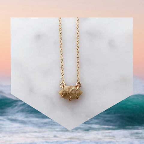 Fossil Coral Necklace