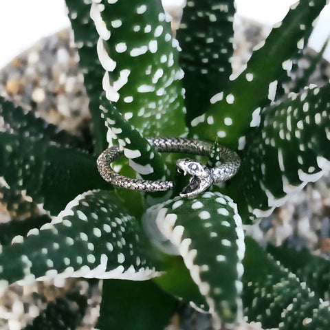 Ouroboros Ring