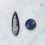 Orthoceras III: [New Moon in Pisces]