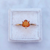 Amber Ring