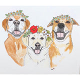 Pet Portrait [Custom Hand Painted]