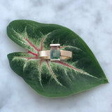 Watermelon Sugar Ring [14k solid gold]